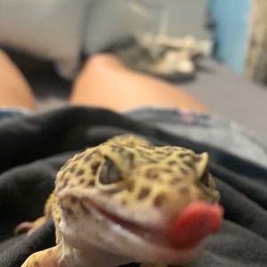 Meet your Posher, Alexandria